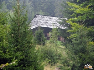 Kurnytowa Koliba