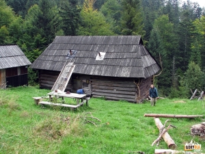 Kurnytowa Koliba