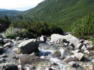 Żabi Potok (Žabí potok) w Dolinie Mięguszowieckiej