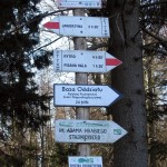 Rozwidlenie szlaków przed Halą Łabowską
