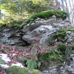 Wychodnia skalna na Wierchu nad Kamieniem