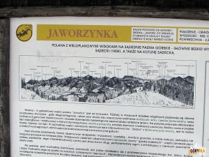 Polana Jaworzynka