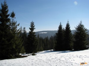 Polana Bieniowe z polany Stawieniec