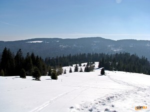 Polana Bieniowe z polany Stawieniec