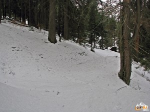 Przejście na polanę Trzemucha