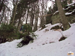 Wychodnia skalna koło polany Trzemucha