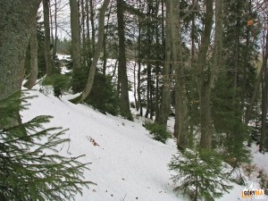 Nad polaną Adamowka