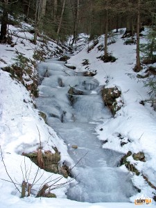 Zalodzony potok nad polaną Trusiówka