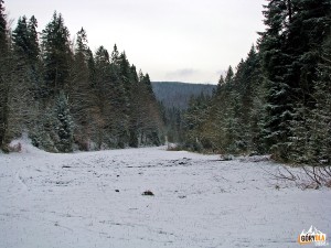 Dolina Kamienicy - przed Papieżówką