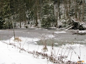 Dolina Kamienicy zimą