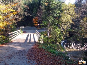 Dolina Kamienicy, polana Trusiówka