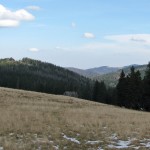 Widok z Hali Turbacz na Gorc 1228 m