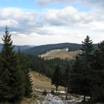 Hala Długa i Jaworzyna Kamienicka 1288 m