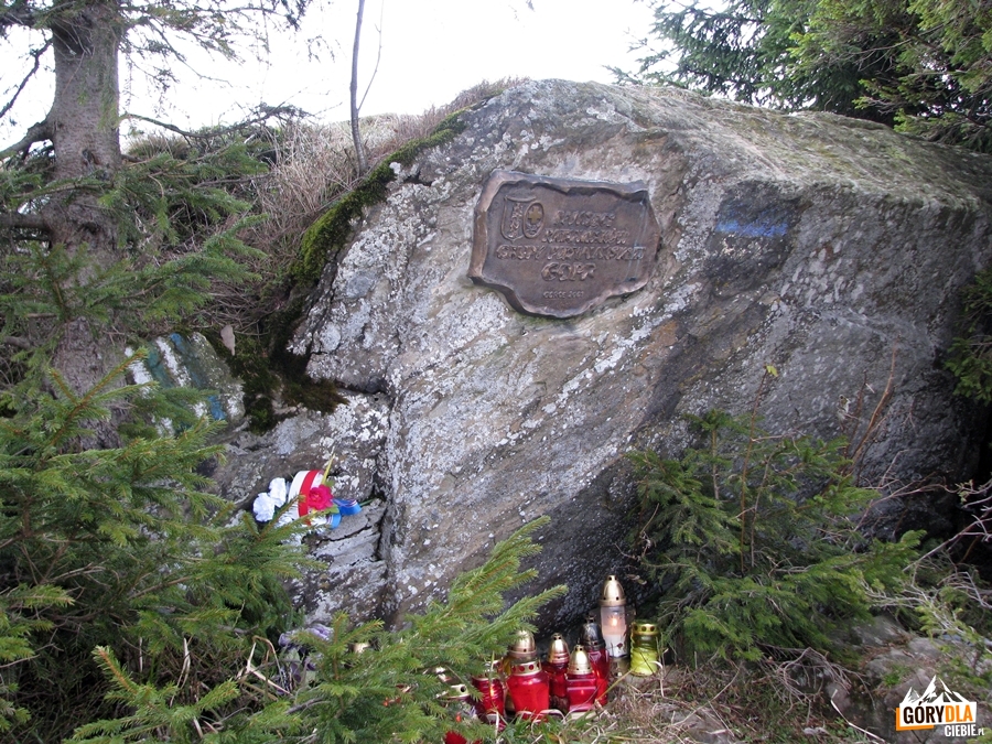 "Diabelski Kamień" na Hali Turbacz