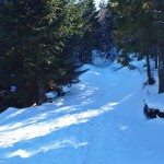 Skrzyzowanie zielonego szlaku z Chyszówek na Mogielicę z trasą narciarsko - rowerową