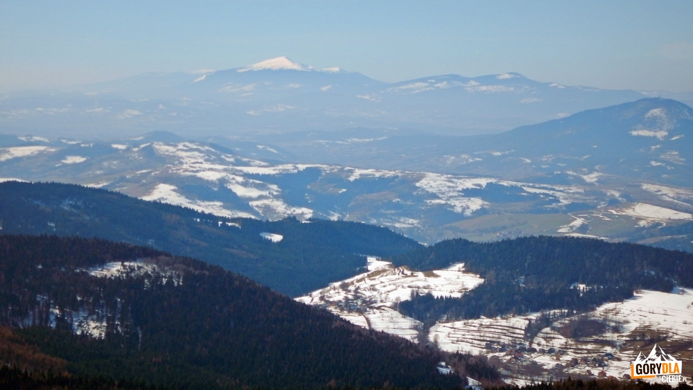Babia Góra i Polica widziane ze szczytu Mogielicy.