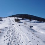 Na szlaku z Chyszówek (Przełęczy Rydza - Śmigłego) na Mogielicę