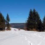 Na szlaku z Chyszówek (Przełęczy Rydza - Śmigłego) na Mogielicę