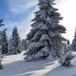 Skąpany w słońcu początek Polany Michurowej
