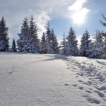 Skąpany w słońcu początek Polany Michurowej