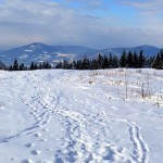Widok z Ćwilina 1072m - Luboń Wielki i Lubogoszcz, w chmurach Babia Góra