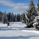 Pod szczytem Ćwilina 1072 m