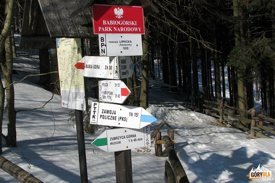 Szlaki turystyczne z Przełęczy Krowiarki 1012 m