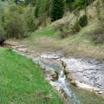 Koryto potoku w Rezerwacie "Biała Woda"