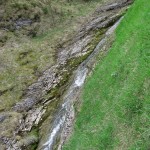 Koryto potoku w Rezerwacie "Biała Woda"