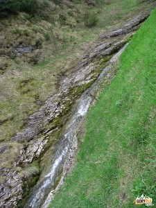 Koryto potoku w Rezerwacie "Biała Woda"