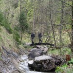 Scieżka przez Wąwóz Homole