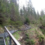 Górna część Wąwozu Homole