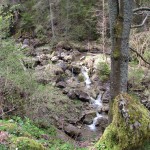 Potok Kamionka w Wąwozie Homole