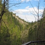 Górna część Wąwozu Homole