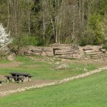 "Kamienne Księgi" w Dubantowskiej Dolince nad Wąwozem Homole