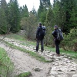 Na szlaku nad Dubantowską Dolinką