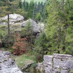 Pod Jemeriskową Skałką