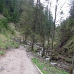 Scieżka przez Wąwóz Homole