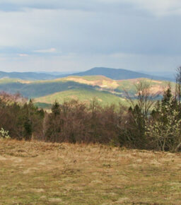Jasień i Kutrzyca z Przysłopia