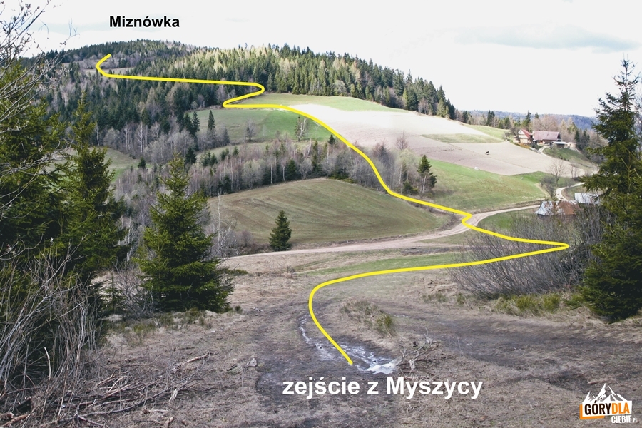 Plan żółtego szlaku na Przełęczy Przysłopek