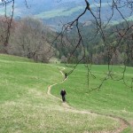 Zielony szlak pod szczyt Wysokiej 1050 m