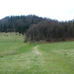 Zielony szlak pod szczytem Wysokiej 1050 m