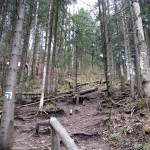Skrzyżowanie szlaków pod Wysoką 1050 m