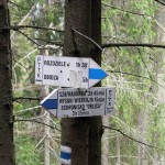 Skrzyżowanie szlaków pod Wysoką 1050 m