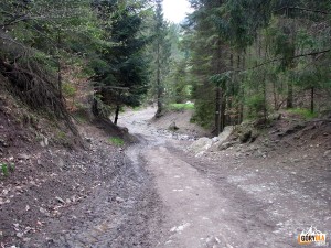 Zielony szlak na Wysoką 1050 m (nad Wąwozem Homole)