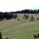 Niebieski szlak spod Wysokiej 1050 m na Przełęcz Rozdziela 803 m