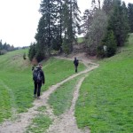 Polana Rówienki (ok. 720 m) w drodze na Wysoką 1050 m