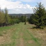 Niebieski szlak na szczycie Wierchliczki 955 m