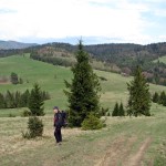 Przełęcz Rozdziela widziana spod Wierchliczki 955 m