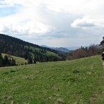 Zejście z Przełęczy Rozdziele do Jaworek